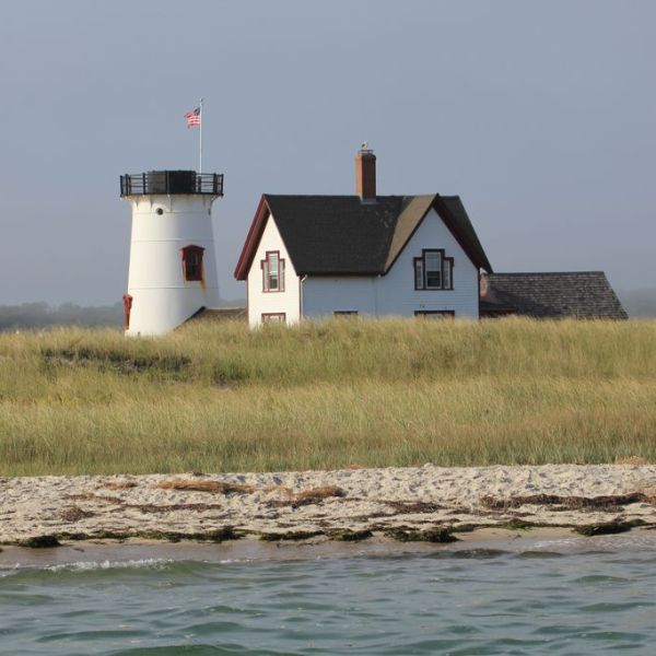 a bird flying over a body of water