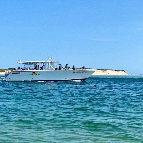 a boat on a body of water